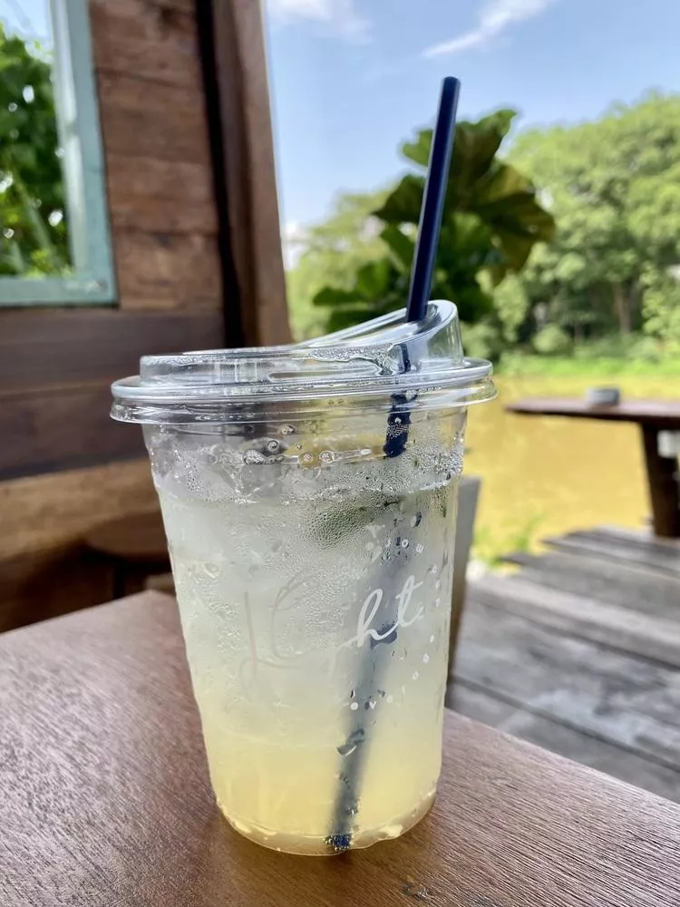 Close up of a lemon honey soda drink standing on the table