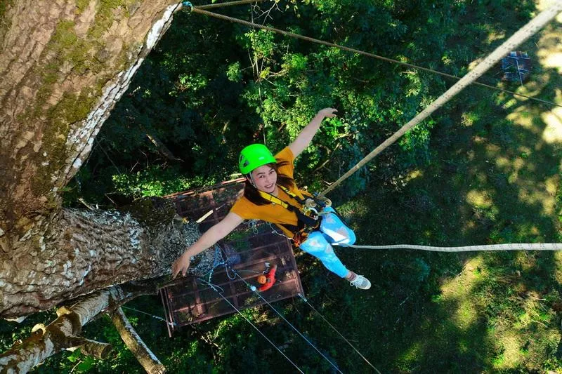 Lady looking above while hanging down on a zipline next to a tree